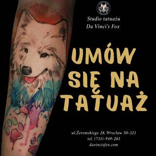 Galeria studia: Da Vinci’s Fox Tattoo Wrocław, Studio tatuażu „Da Vinci’s Fox”...