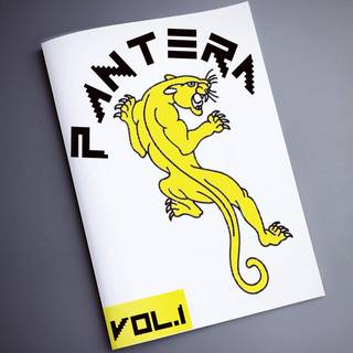 Galeria studia: Pantera Bydgoszcz, P A N T E... Galeria studia: Pantera Bydgoszcz, P A N T E...