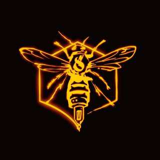 Galeria studia: Studio Szerszeń,  