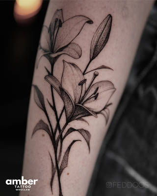 Galeria studia: Studio tatuażu Amber Tattoo Wrocław, Studio tatuażu Amber Tattoo założone... Galeria studia: Studio tatuażu Amber Tattoo Wrocław, Studio tatuażu Amber Tattoo założone...