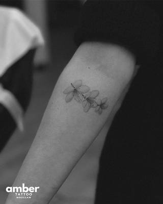 Galeria studia: Studio tatuażu Amber Tattoo Wrocław, Studio tatuażu Amber Tattoo założone... Galeria studia: Studio tatuażu Amber Tattoo Wrocław, Studio tatuażu Amber Tattoo założone...