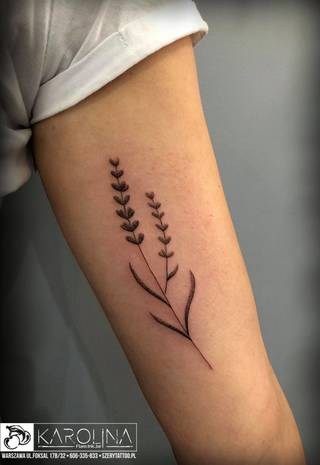 Galeria studia: Szerytattoo, SZERYTATTOO - Studio tatuażu artystycznego...