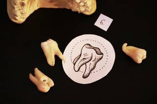 Galeria studia: Ultra Tattoo, Lata pracy, masa doświadczeń (początki...